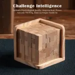Wooden Intelligence Toy Brain Teaser Game