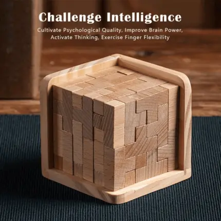 Wooden Intelligence Toy Brain Teaser Game