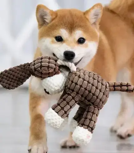 Plush Dog Toys Corduroy