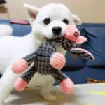 Plush Dog Toys Corduroy
