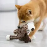 Plush Dog Toys Corduroy