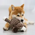 Plush Dog Toys Corduroy
