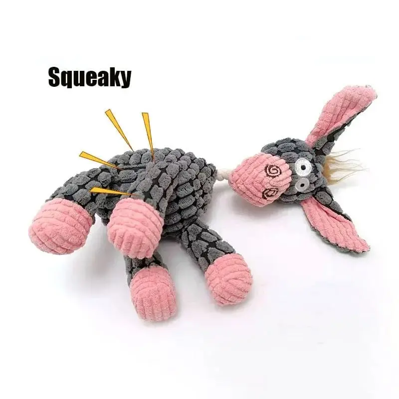 Pet playing with toy
