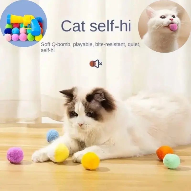 Indoor cat activity