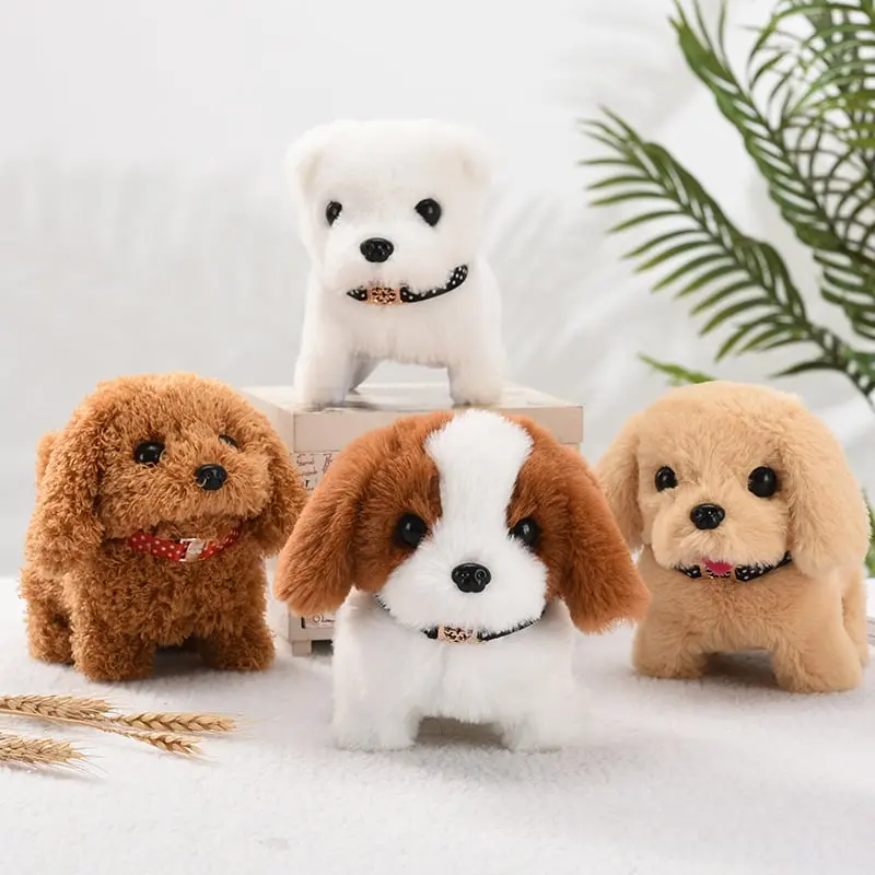 Gift Idea