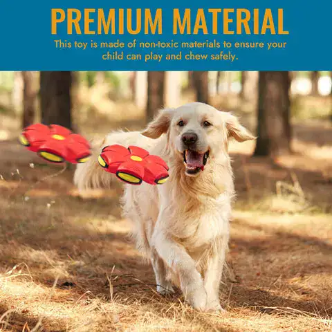 Flashing Light Pet Toy